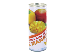 B200-- Jus de mangue 25cl